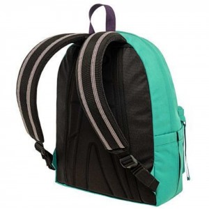 Polo Original Scarf Τσάντα Πλάτης 9-01-135-5847 2024 Πράσινο Τσάντες